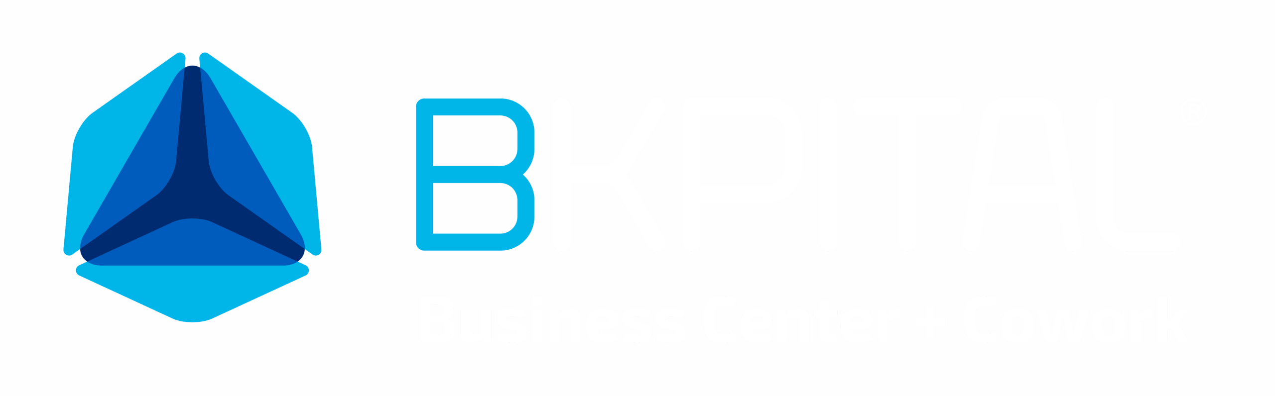 LOGO BKPITAL
