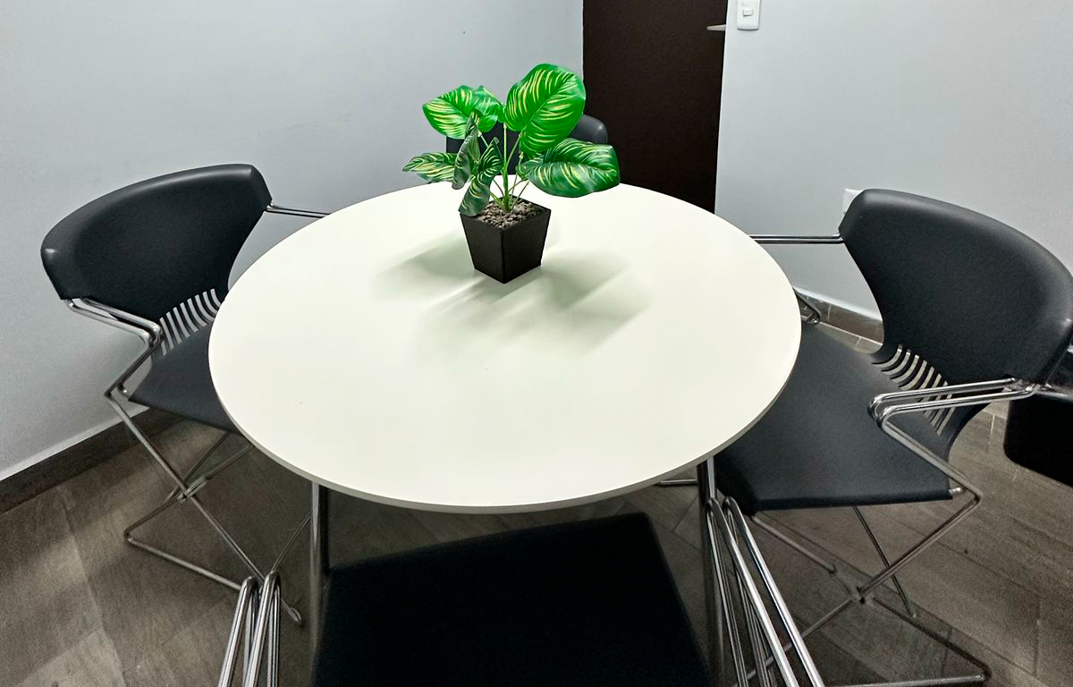 Garza Sada I Sala de Juntas - Image 3